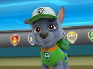 Paw Patrol Español Games Birthday Christmas 2015, Paw Patrol Episodes Eggs Cake Names Full 2015