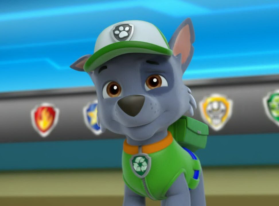 Paw Patrol Español Games Birthday Christmas 2015, Paw Patrol Episodes Eggs Cake Names Full 2015