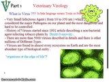 Virology 8 RNA viruses 3 (Part1)