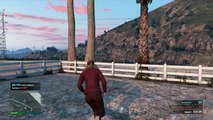 Grand Theft Auto V_Online Persecución a puños