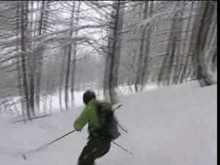 Poudre à la Foux d'Allos