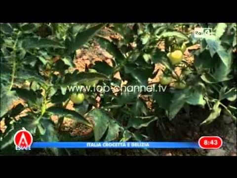 Rama për Rai3: Evropa mbetet ëndrra jonë - Top Channel Albania - News - Lajme