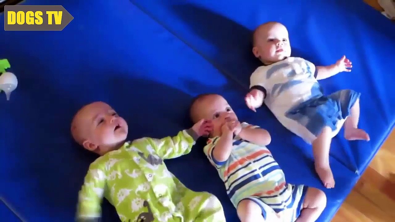 Funny Triplet Babies Laughing Compilation 2015 , # 40