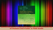 PDF Download  Identification of Tropical Woody Plants in the Absence of Flowers and Fruits A Field Read Online