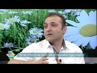 Takimi i pasdites - Si te mbrojme kafshet shtepiake nga i nxehti! (20 korrik 2015)