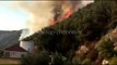 PA KOMENT: Zjarr në Shëngjin - Top Channel Albania - News - Lajme