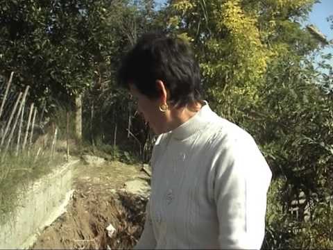 RRESHQITJA E TOKES LEVAN,RREZIKOHEN NGA SHEMBJA DHJETRA SHTEPI LAJM