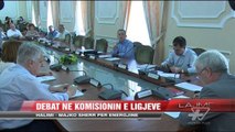 Halimi - Majko sherr për energjinë - News, Lajme - Vizion Plus