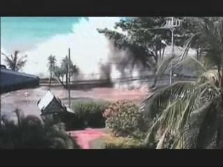 NATURE | Can Animals Predict Disaster?