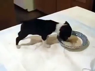 Oh my god that sweet