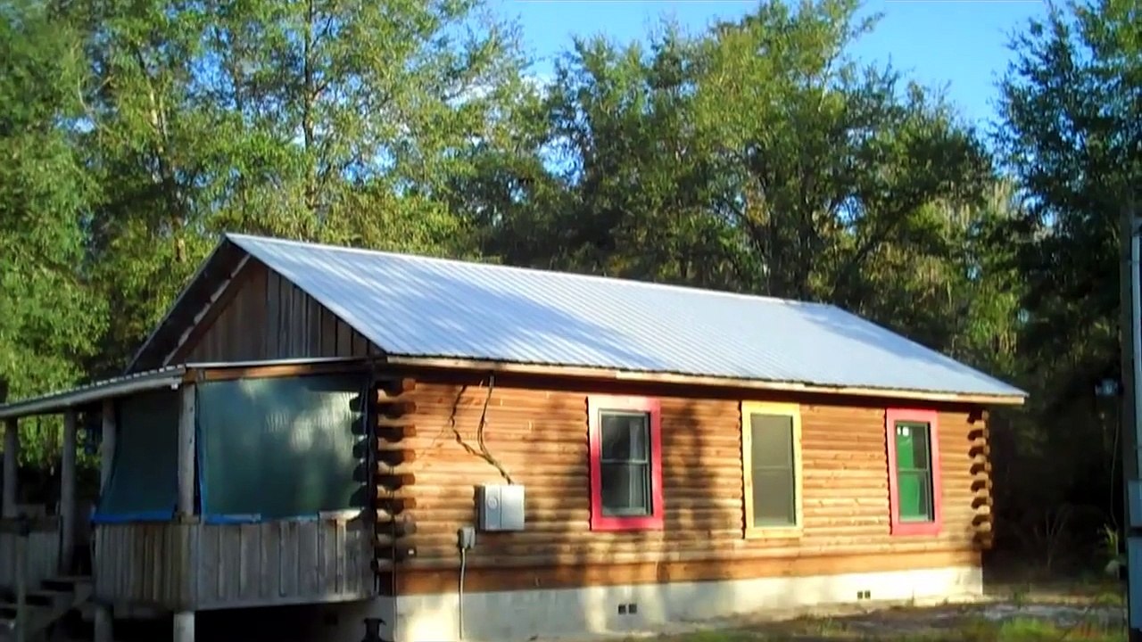 3 Different Chicken Breeds That Make The Best Laying Hens