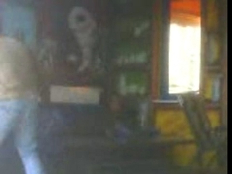 Mov00036