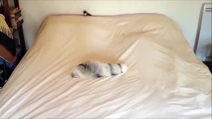 【안산출장안마】마사지VIPOlO↔2165↔2776 선입급X 후기좋은명품서비스 ユ곳에서