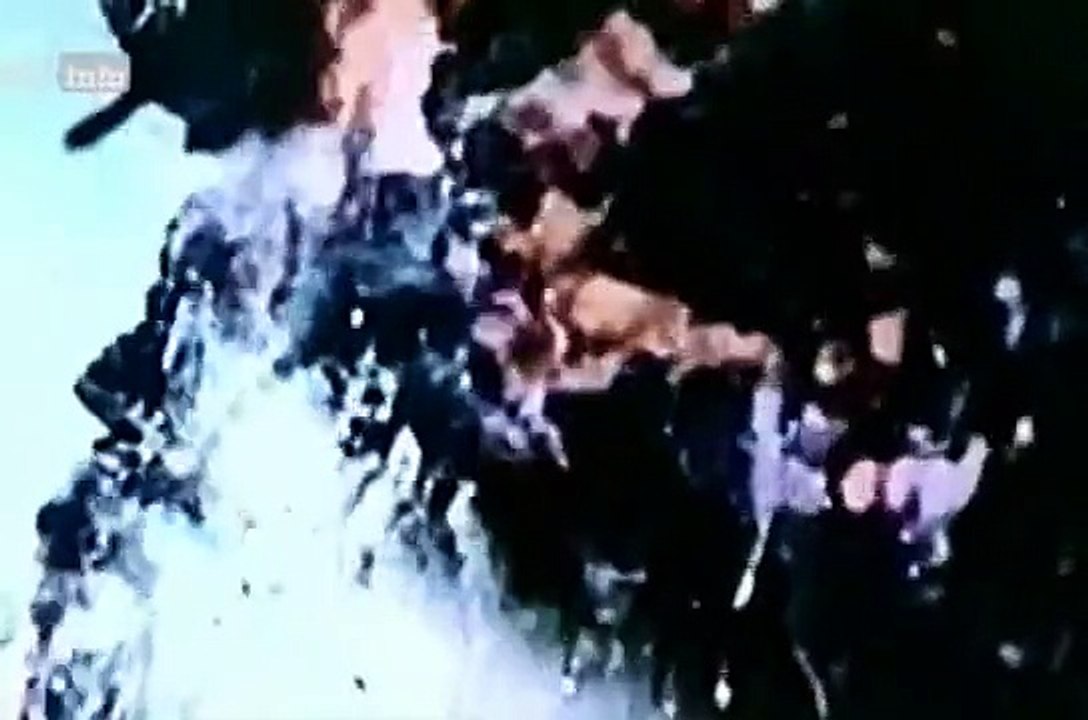 Dokumentation Bio Waffen480p H 264 AAC