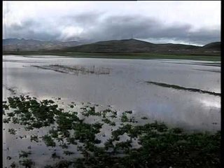 PERMBYTJE NE KORÇE UJI PERMBYT 2500 HA NE MALIQ DHE QENDREN E QYTETIT LAJM