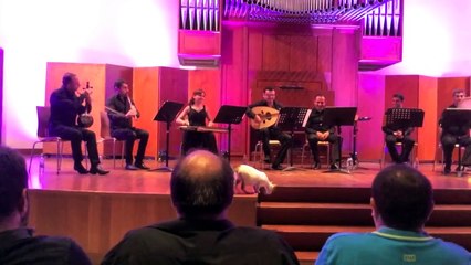 Funny Animal: A Cat Wanders Onstage During a Folk Concert [Original]