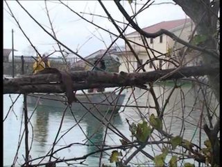 TERHIQET UJI BIEN TEMPERATURAT SHKODRA PRET PERMBYTJEN E RRADHES LAJM