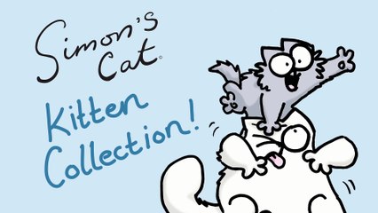 Funny Animal: Simon's Cat - Kitten Collection!