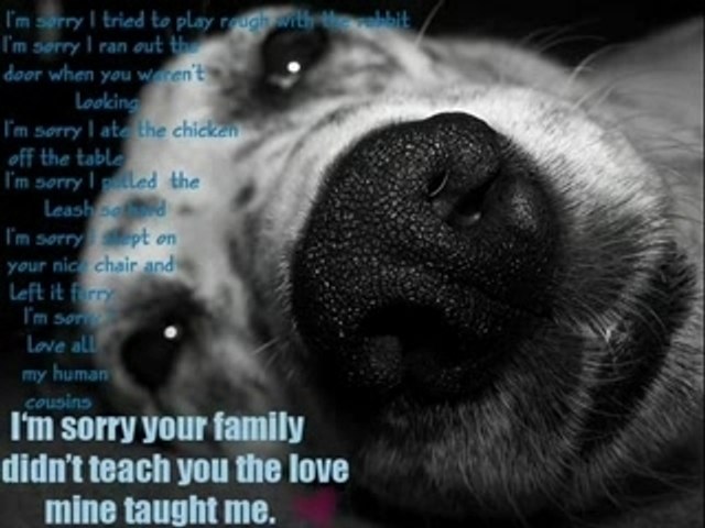Sorry_again_lrg