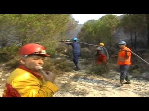 AVIONE DHE HELIKOPTERE PER SHUARJEN E ZJARREVE NE BELISHOVE TE MALLAKASTRES LAJM