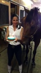 Funny Animal: Grandson of Secretariat, JD blows out his birthday candles!
