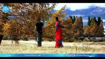 Gudumba Shankar Movie Golden Hit Song || Chitti Nadumune Video Song || Pawan Kalyan, Meera Jasmine