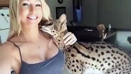 Wow looking beautiful and awesome cat