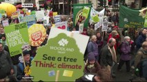 Thousands rally in Paris for climate change action