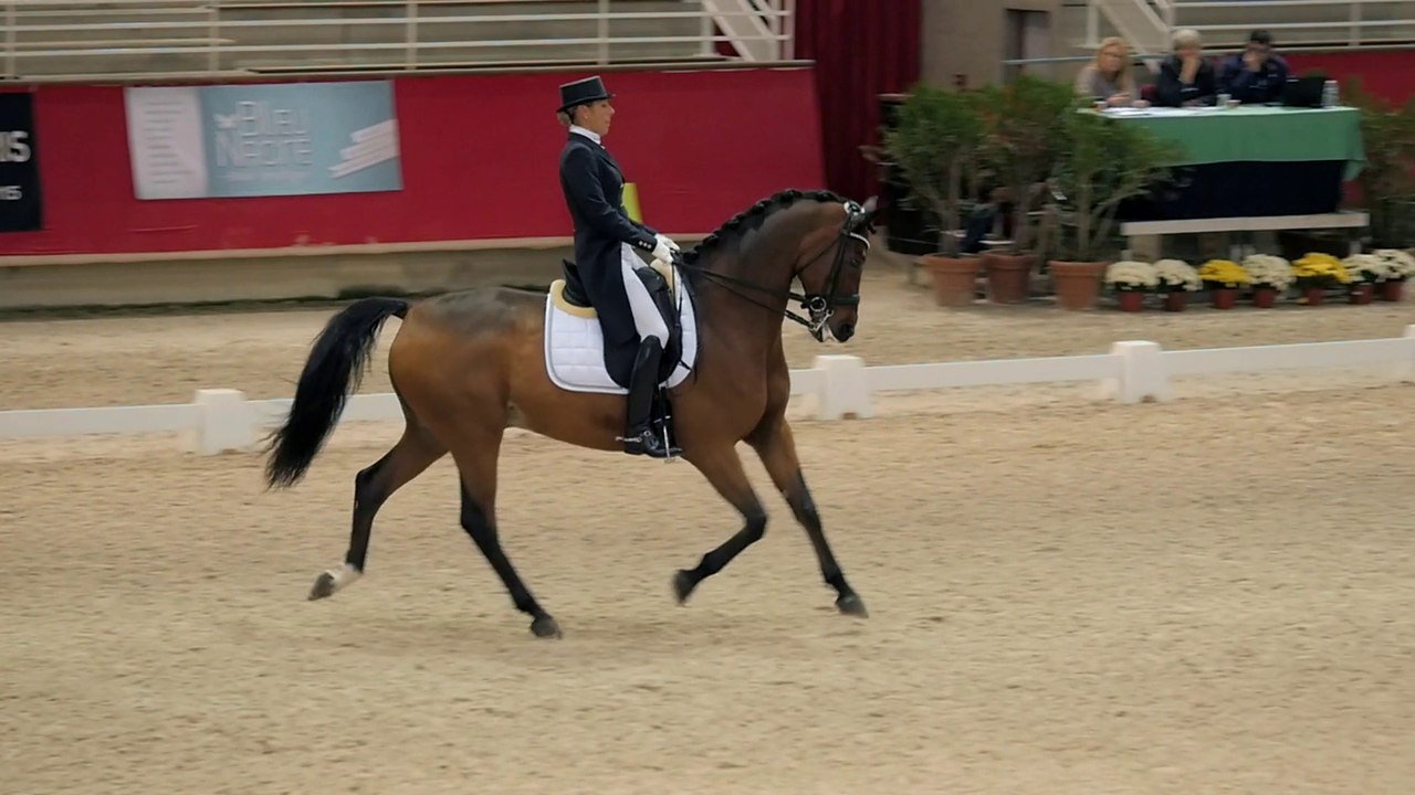 Petit Journal du Grand National Dressage - Saint Lô Etape 6