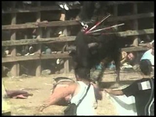 DEMAT FITUES PLAGOSEN 48 PERSONA NGA DEMAT NE KOLUMBI LAJM