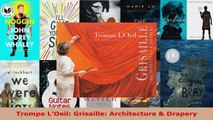 Read  Trompe LOeil Grisaille Architecture  Drapery EBooks Online