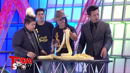 TODAY  SHOW 12  ก.ค.58 (2/3) แปลก เฮ ซ่าส์ กูรูผู้รอบรู้เรื่องของสัตว์เลื้อยคลาน “ เก่งงูยิ้ม ”