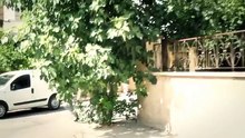 -فيلم الأكشن المغربي القصير-التشرميل و التحرش-( ما تقيسش ختي )