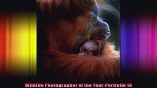 Wildlife Photographer of the YearPortfolio 10