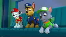 Paw Patrol Espanol Games Birthday Christmas 2015, Paw Patrol Episodes Eggs Cake Names Full_1