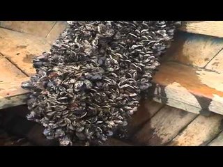 RRITJA E TEMPERATURES SE UJIT NE LIQENIN E BUTRINTIT RREZIKON SHUMIMIN E MIDHJES LAJM