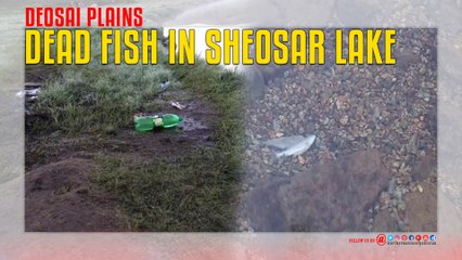 Dead Fish in Sheosar Lake ‫Deosai Plains