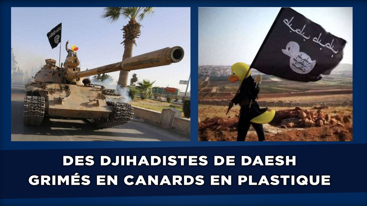 Des djihadistes de Daesh grimés en canards en plastique