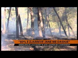 80% e zjarreve janë me dashje - Top Channel Albania - News - Lajme