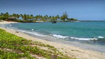 Relaxing Nature Scenes - Relaxing sounds of Ocean waves in Hawaii