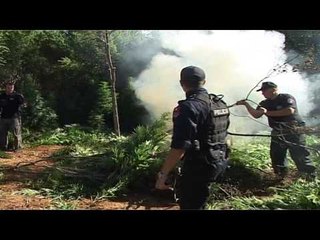 BETEJA ME HASHASHIN,ASGJESOHEN MIJERA RRENJE NE VLORE,SKRAPAR,BERAT E SHKODER LAJM