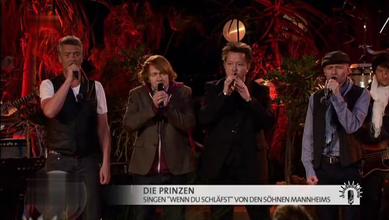 Die Prinzen - Wenn du schläfst 2015