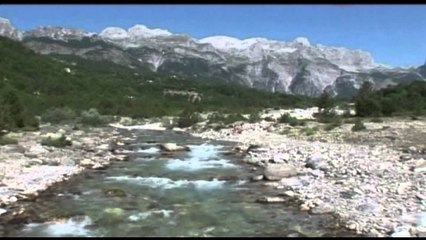 GUSHTI, VERE DHE VJESHTE BRENDA DITES