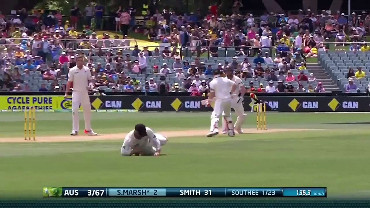 Top fielding by Brendon Mccullum and ruout the bastman