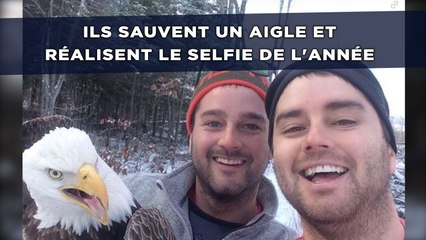 Ils sauvent un aigle et réalisent le selfie de l'année