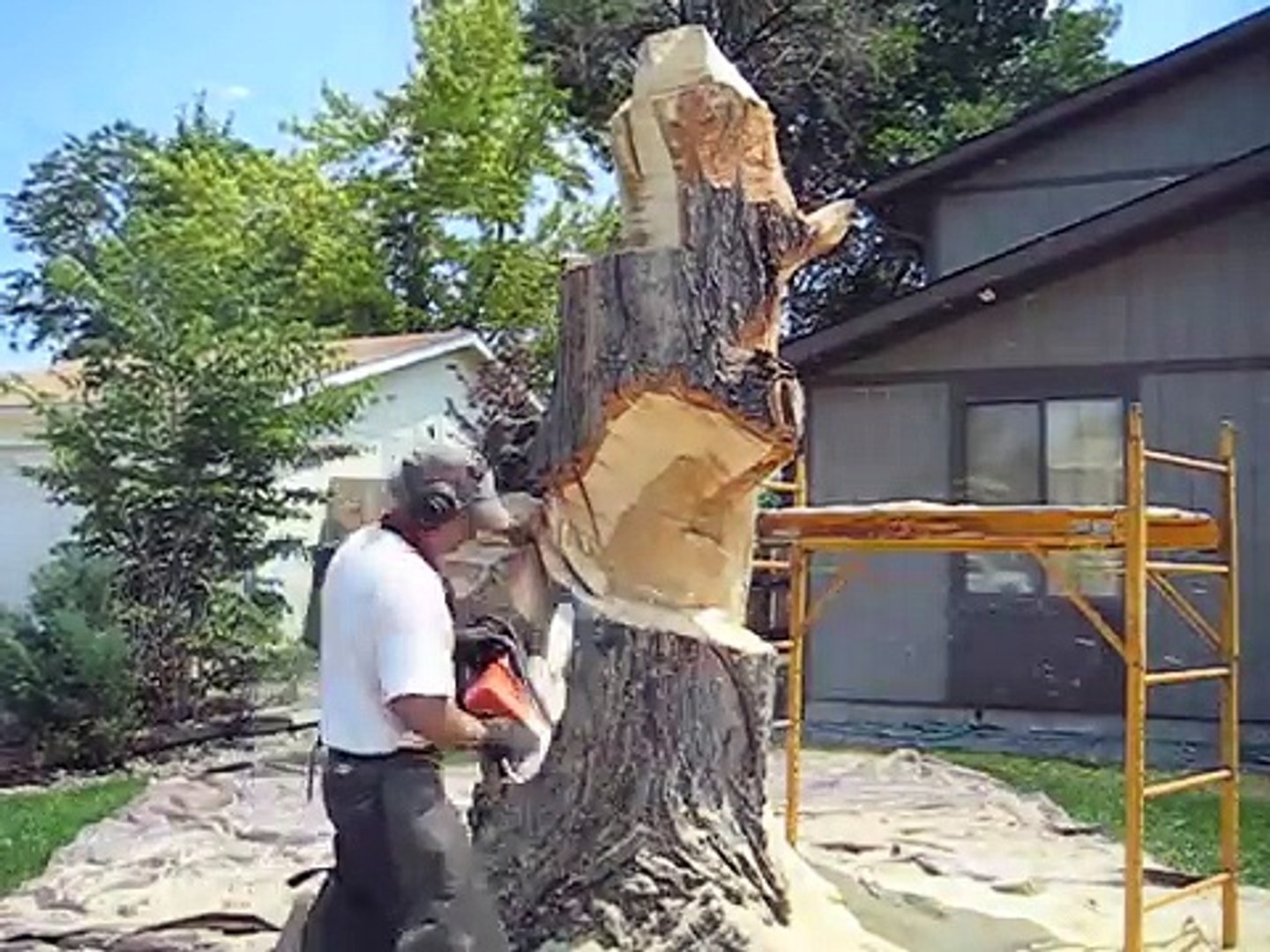 Lueb Popoff sculpte un tronc d'arbre avec sa tronçonneuse - Vidéo  Dailymotion
