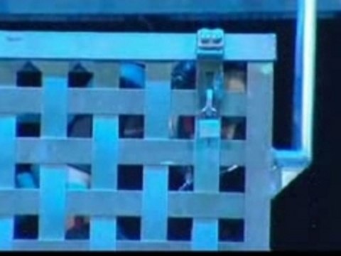 Dani Lary Magicien Malle aquatique