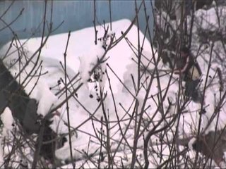 GJENDJA E RRUGEVE SITUATA E AKSEVE KRYESORE NE TE GJITHE VENDIN LAJM