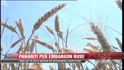 Panariti për embargon ruse - News, Lajme - Vizion Plus
