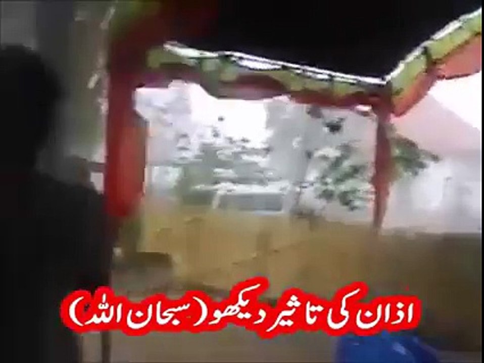 اذان کی تاثیر دیکھو (سبحان اللہ
